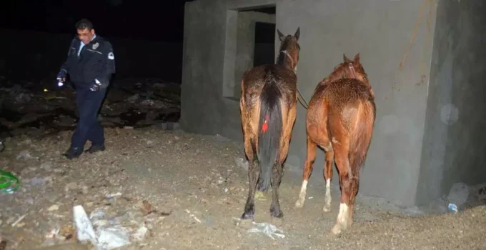 Gıda teröristlerinin vatandaşa en çok at ve eşek eti yedirdiği iki ilimiz