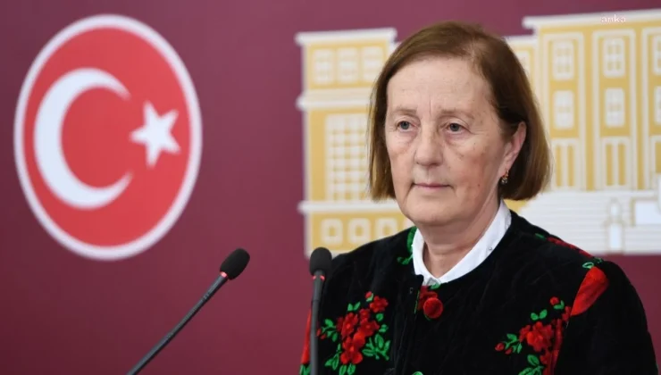 Selma Aliye Kavaf kimdir? Ak Parti’ye Geçen Selma Aliye Kavaf’ın Hayatı