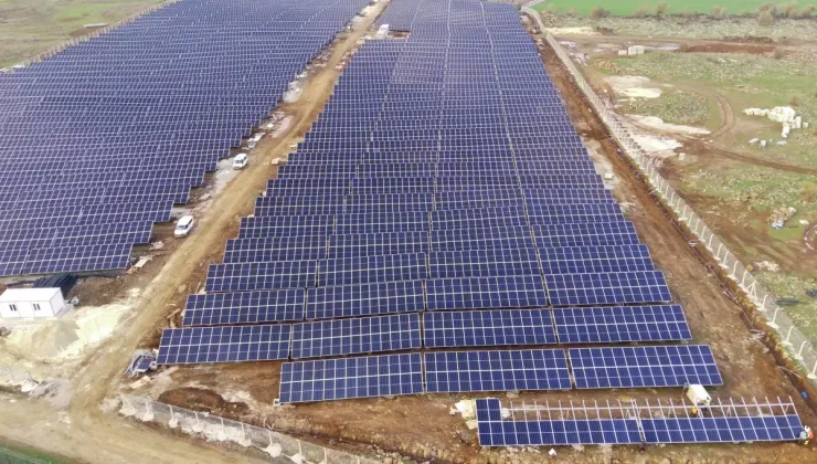 Enerjisa, Türkiye’nin Yenilenebilir Enerji Hedeflerine Katkıda Bulunuyor