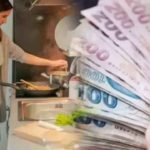 ev hanımı