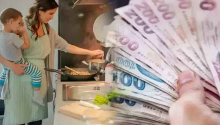 Ev Hanımlarını Çalışmadan Emekli Yapacak Yöntem Açıklandı!