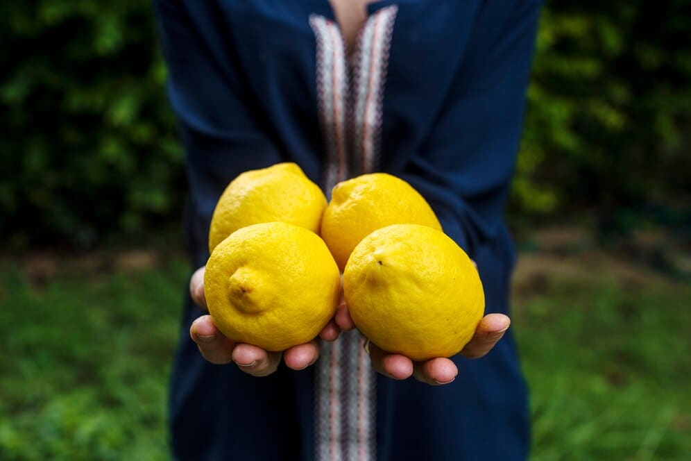 limonun faydaları