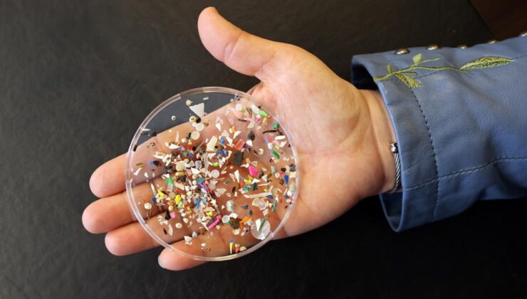 İnsan Beynindeki Mikroplastik Oranı Hızla Artıyor