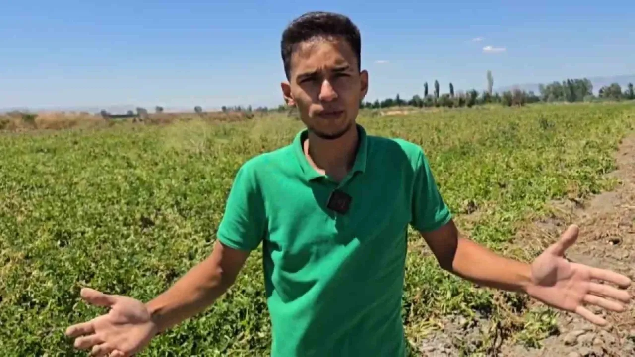 Amasya’da Genç Çiftçiden Örnek Davranış: Satamadığı Patatesleri Ücretsiz Dağıttı