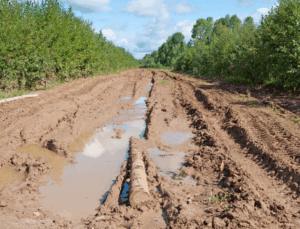 Rüyada Çamurlu Yol Görmek Ne Anlama Gelir?