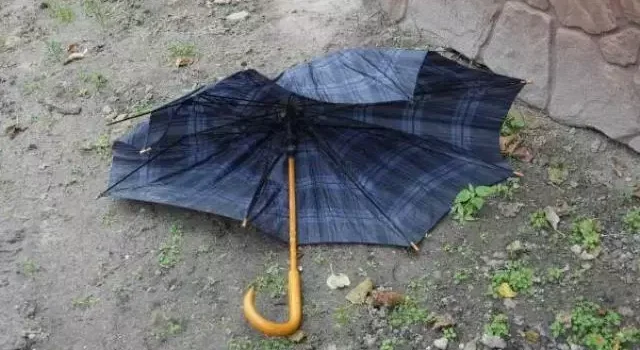 Rüyada Kırık Şemsiye Görmek Ne Anlama Gelir?
