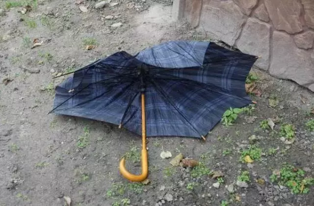 Rüyada Kırık Şemsiye Görmek Ne Anlama Gelir?