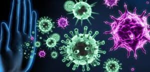 Bağışıklık Sistemi Nedir? Güçlendirmek İçin Bilimsel Olarak Etkili Yöntemler