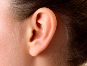 Kulağın İçinden Gelen Kalp Atışı Sesi Neden Olur?