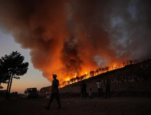Bursa’da Orman Yangını Alarmı: Harmancık ve Orhaneli Alevlere Teslim