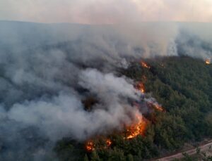 Tekirdağ Şarköy’de Orman Yangını Büyüyor: Yerleşim Alanları Tahliye Edildi