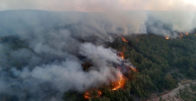 Tekirdağ Şarköy’de Orman Yangını Büyüyor: Yerleşim Alanları Tahliye Edildi