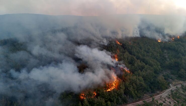 Tekirdağ Şarköy’de Orman Yangını Büyüyor: Yerleşim Alanları Tahliye Edildi